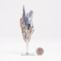 Kyanite, Blue- On Stand