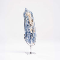 Kyanite, Blue- On Stand