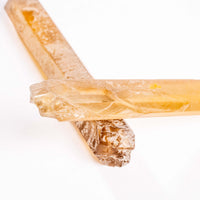 Citrine - Singing Pairs