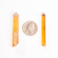 Citrine - Singing Pairs