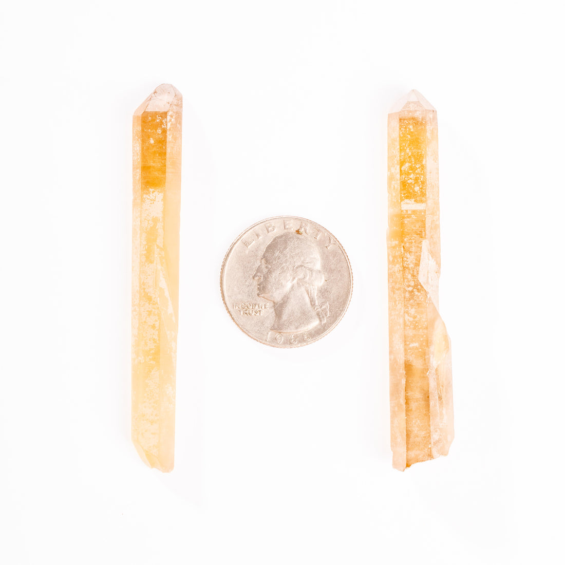 Citrine - Singing Pairs