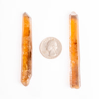 Citrine - Singing Pairs