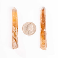 Citrine - Singing Pairs