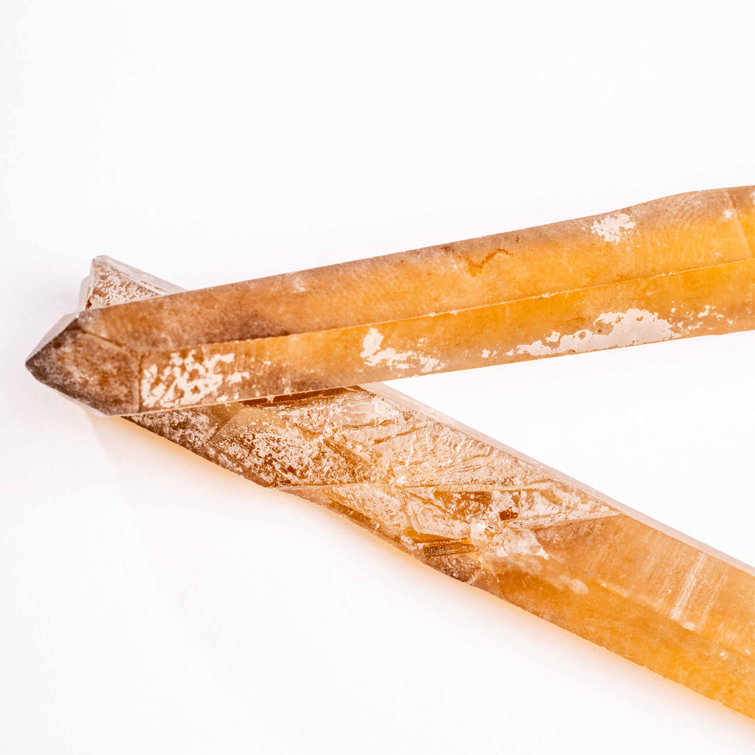 Citrine - Singing Pairs