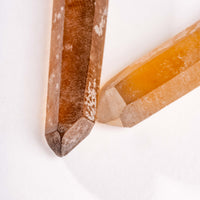 Citrine - Singing Pairs