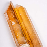Citrine - Singing Pairs