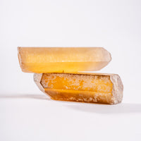 Citrine - Singing Pairs