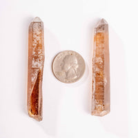 Citrine - Singing Pairs