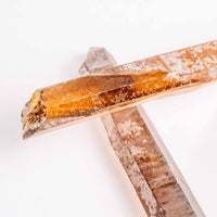 Citrine - Singing Pairs