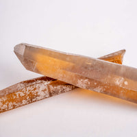 Citrine - Singing Pairs