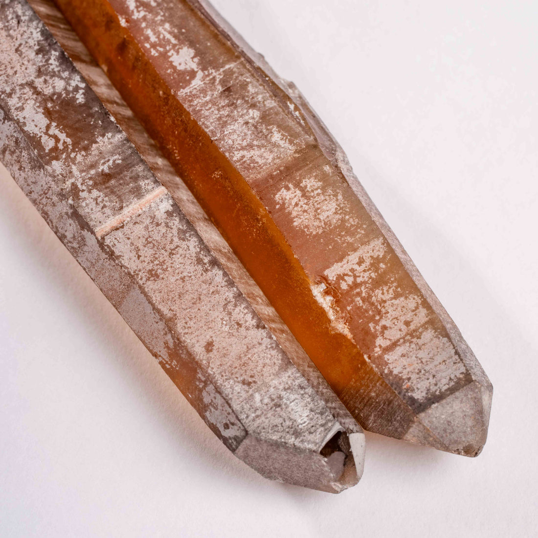 Citrine - Singing Pairs