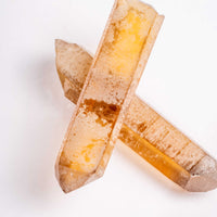 Citrine - Singing Pairs