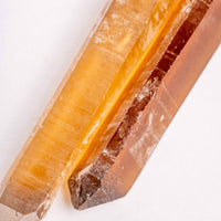 Citrine - Singing Pairs