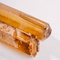 Citrine - Singing Pairs