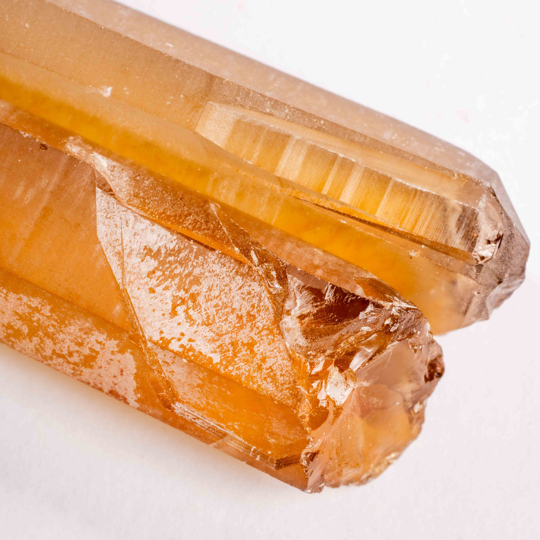 Citrine - Singing Pairs
