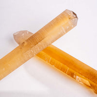 Citrine - Singing Pairs