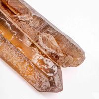 Citrine - Singing Pairs