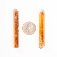 Citrine - Singing Pairs