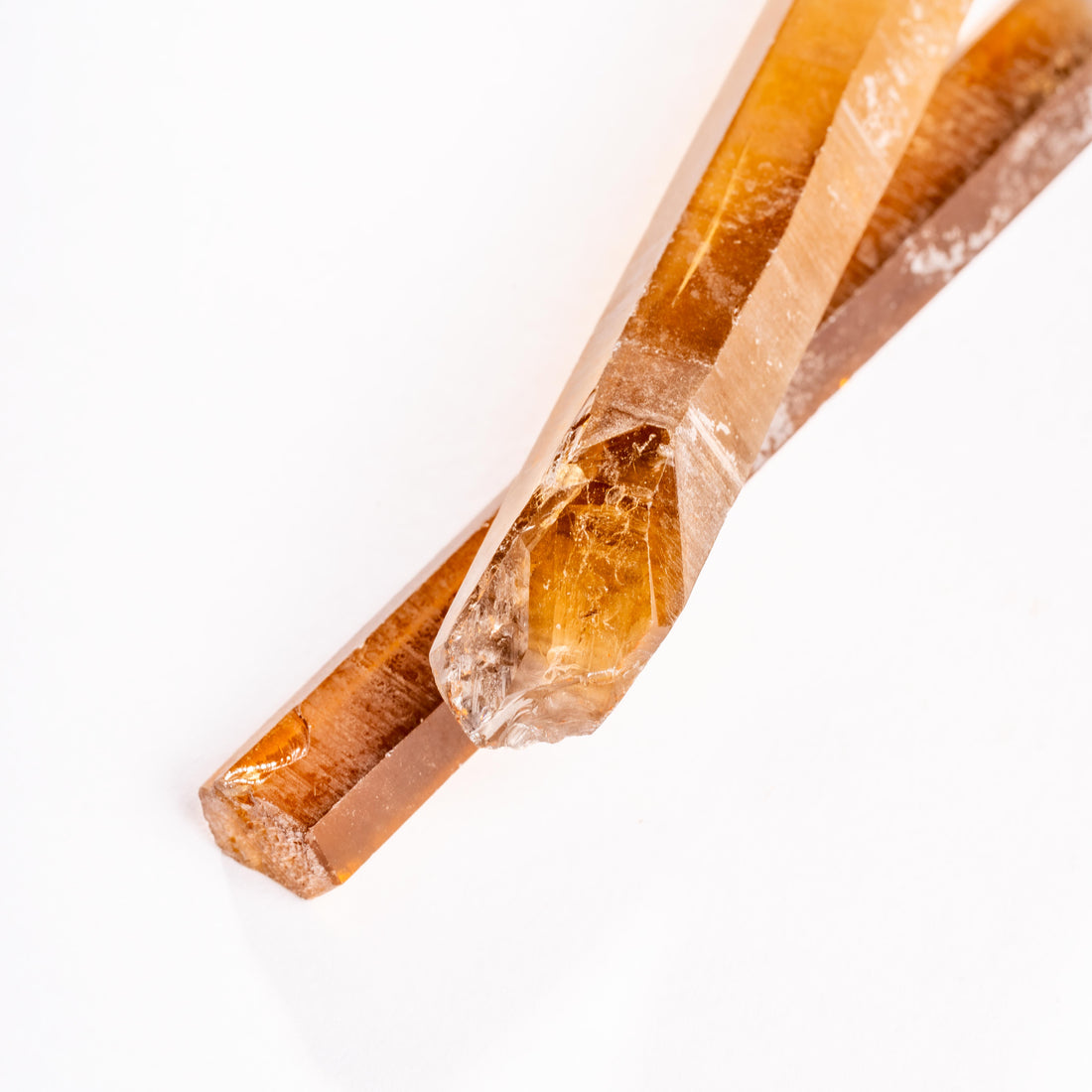 Citrine - Singing Pairs