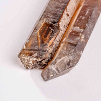 Citrine - Singing Pairs