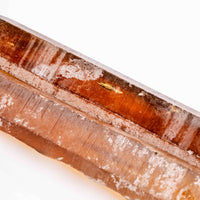 Citrine - Singing Pairs