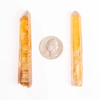 Citrine - Singing Pairs