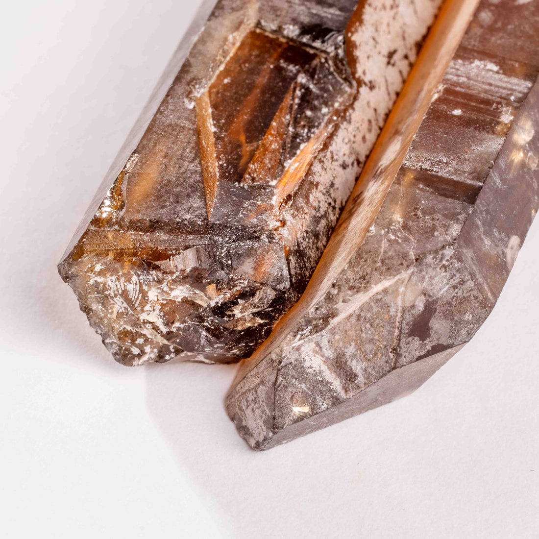 Citrine - Singing Pairs