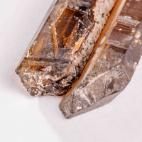 Citrine - Singing Pairs