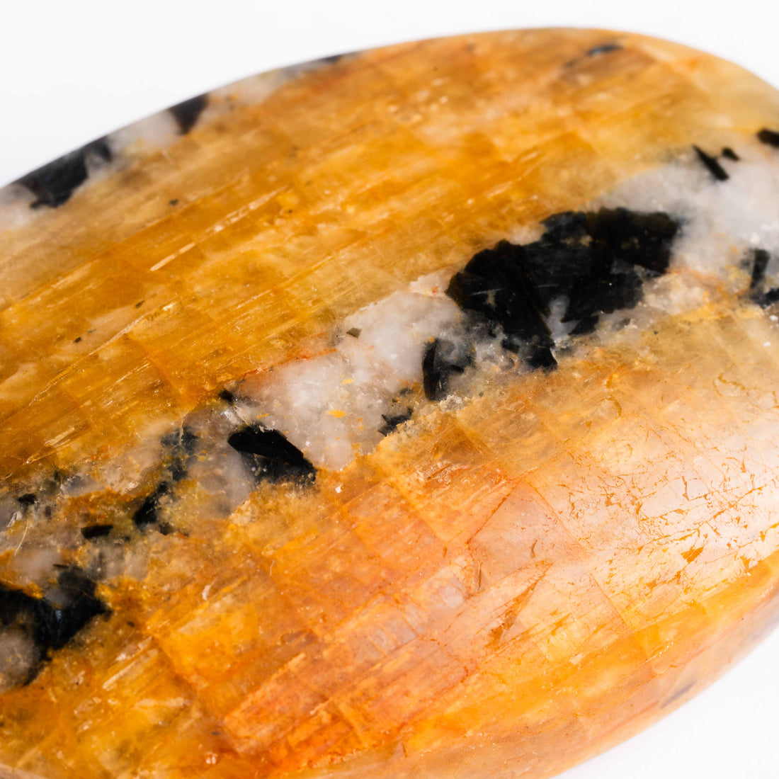 Topaz - Golden, Palm