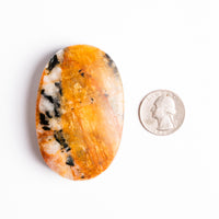 Topaz - Golden, Palm