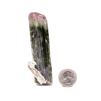 Bi-Color Tourmaline