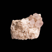 Amethyst - Jackson Crossroads