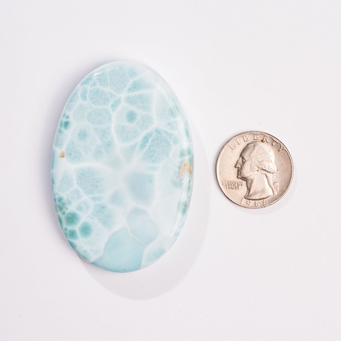 Larimar- Palm