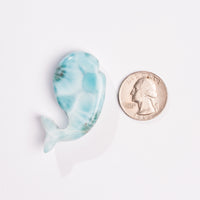 Larimar- Dolphin