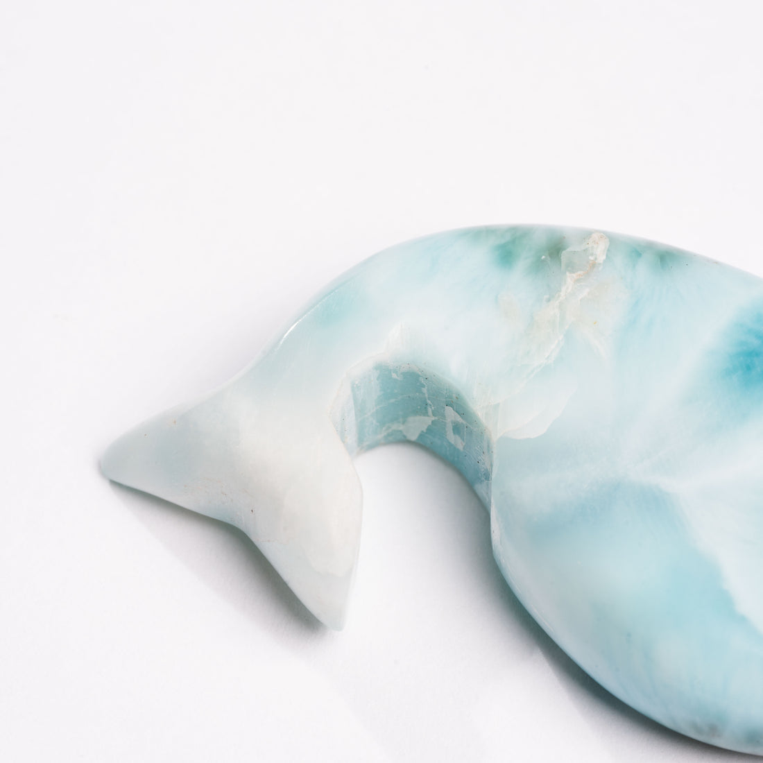 Larimar- Dolphin