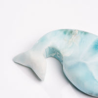 Larimar- Dolphin