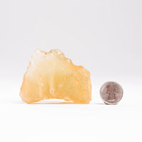 Libyan Desert Glass- Large