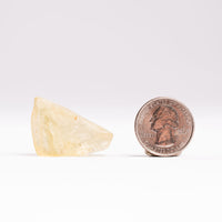 Libyan Desert Glass