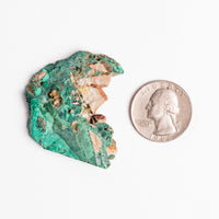 Bisbee Malachite & Gem Silica - Earth Love Gallery