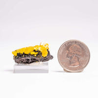 Mimetite