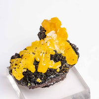 Mimetite