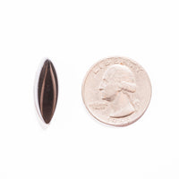 Fire Obsidian