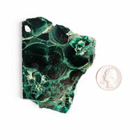Malachite - Polished Slab