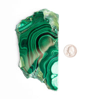 Malachite - Polished Slab