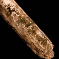 Phenakite (Phenacite)