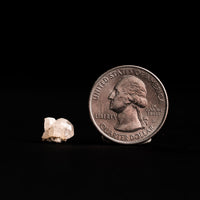 Phenakite (Phenacite)