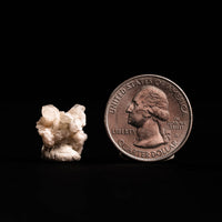 Phenakite (Phenacite)