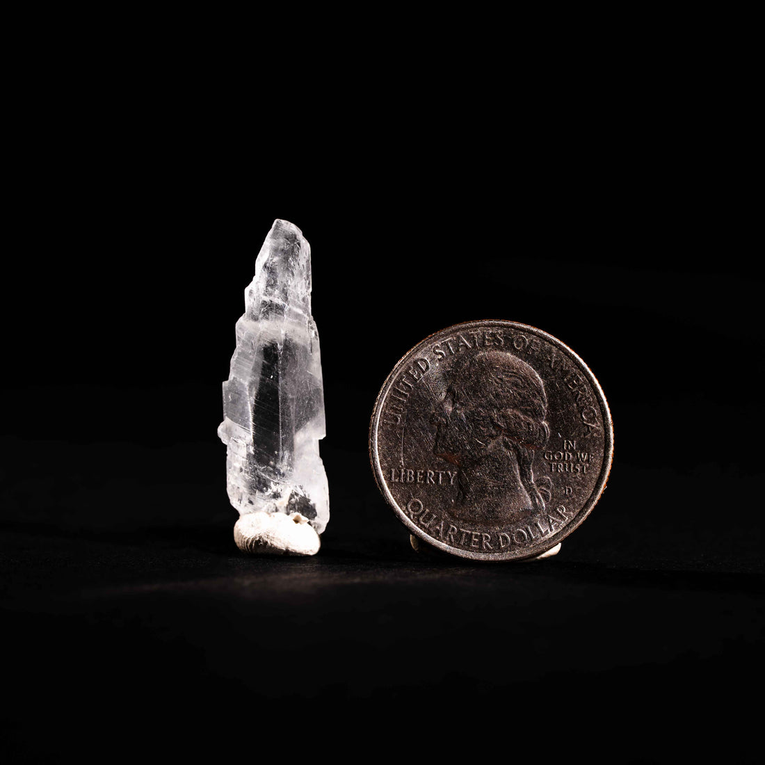 Nifontovite