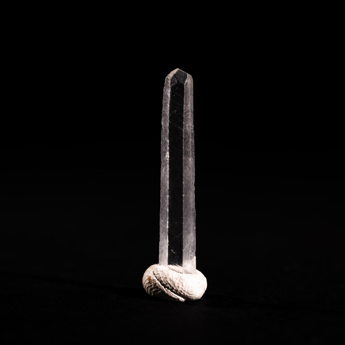 Nifontovite