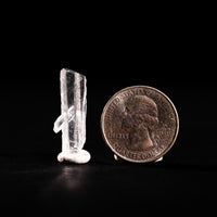 Nifontovite